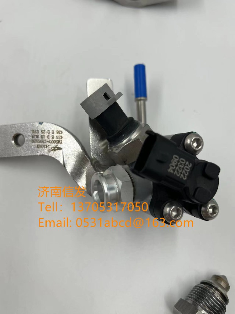 YM50NB-1205A00轻卡车碳氢喷射阀SCR济南信发