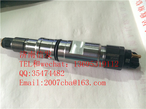 0445120373潍柴喷油器610800080588济南信发