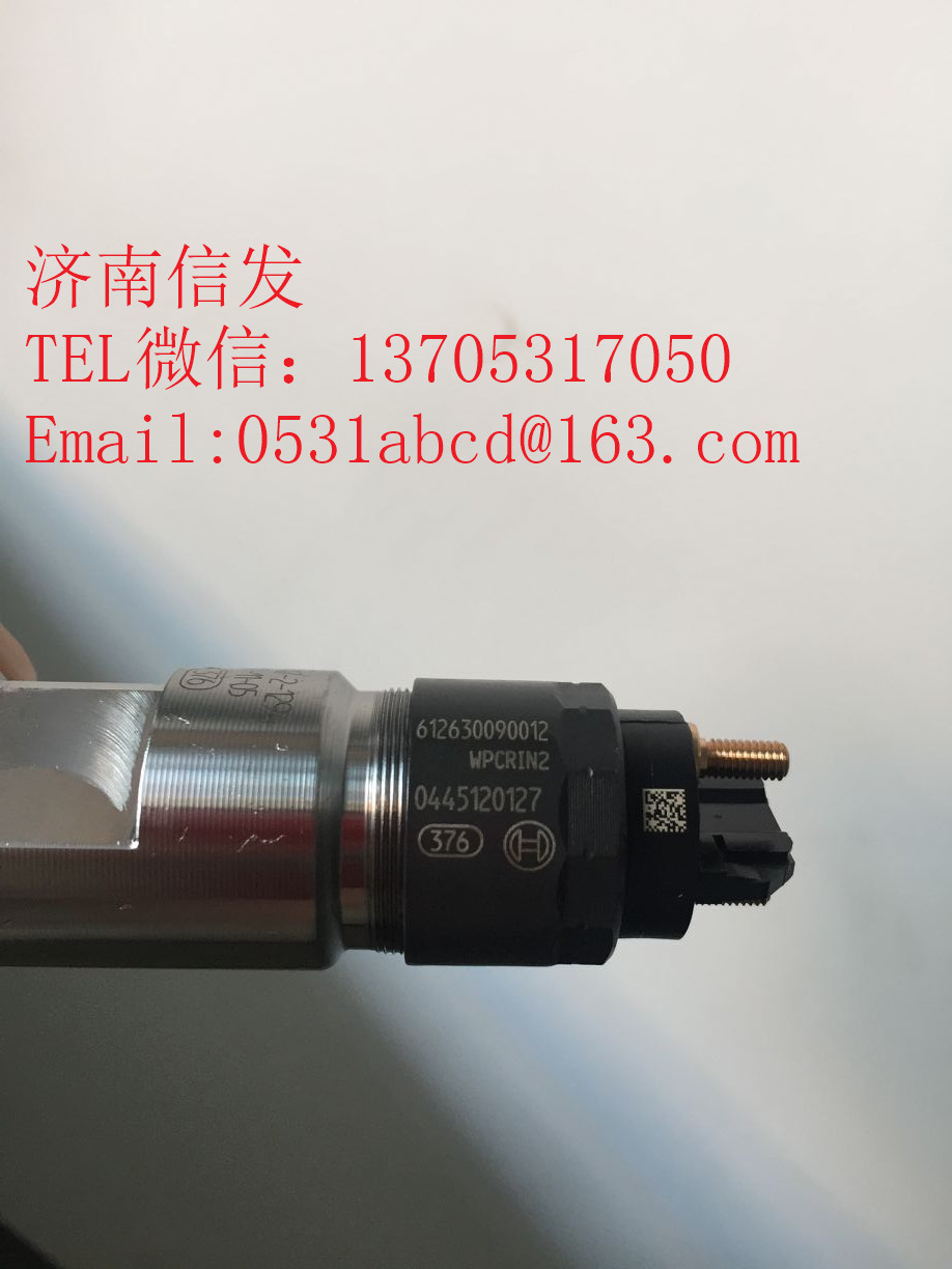 612630090012德(dé)龙喷油器济南信发