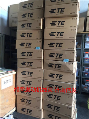 612650080056欧曼发动机線(xiàn)束济南信发